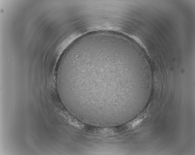 X0000060780879200511241817