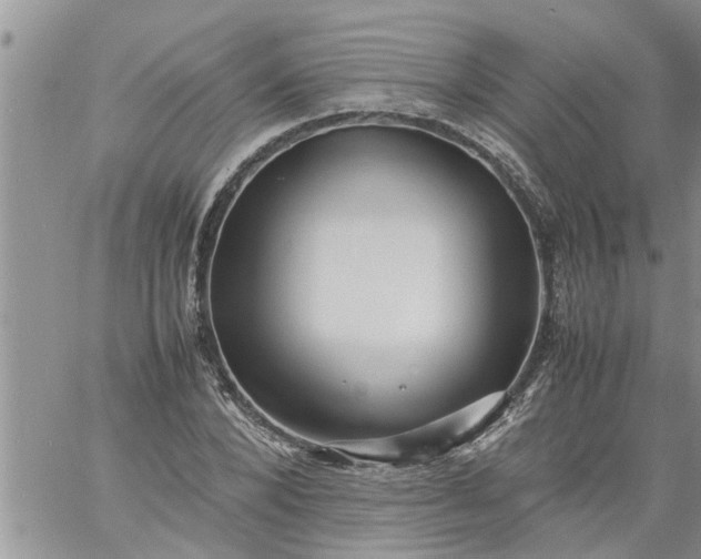 X0000060780880200511241817