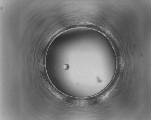 X0000060780881200511241817