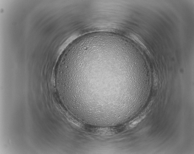 X0000060780883200511241817