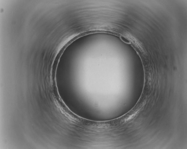 X0000060780884200511241817