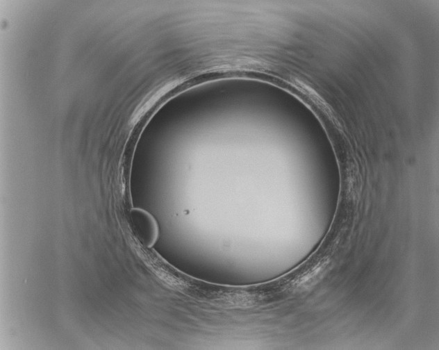 X0000060780885200511241817