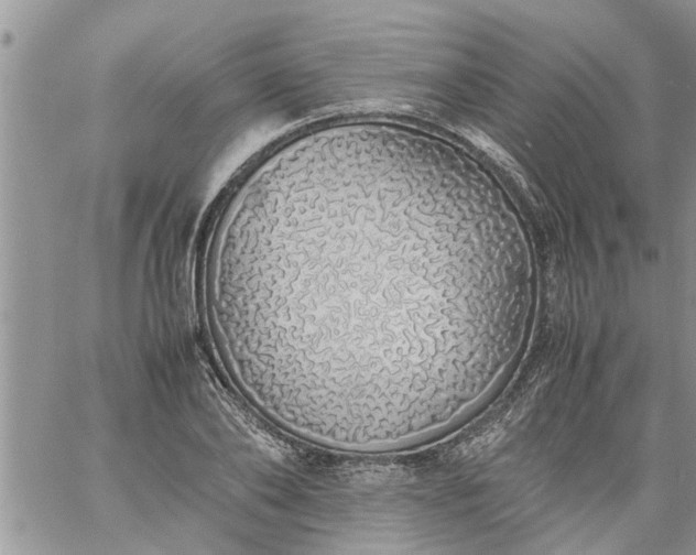 X0000060780886200511241817