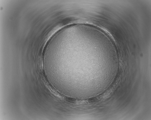 X0000060780887200511241816