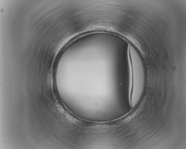 X0000060780888200511241816