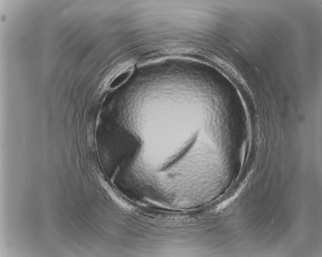 X0000060780889200511241816