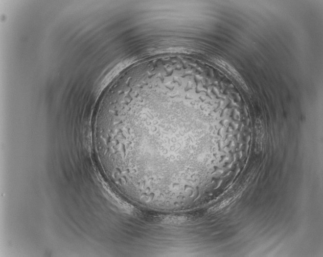 X0000060780890200511241816