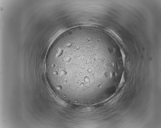 X0000060780891200511241816