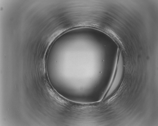 X0000060780892200511241816