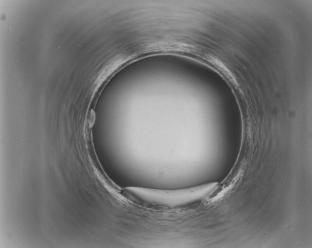 X0000060780893200511241816