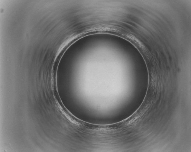 X0000060780894200511241816