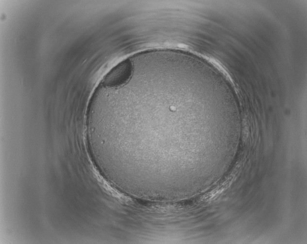 X0000060780895200511241816