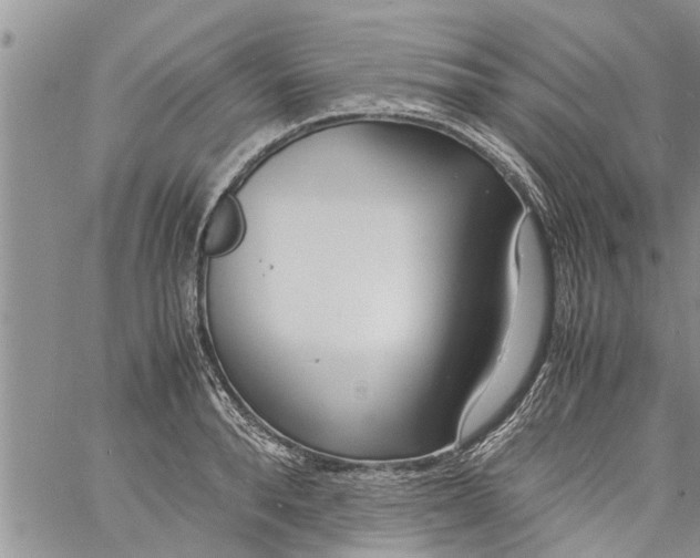 X0000060780896200511241816