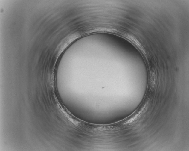 X0000060780898200511241816