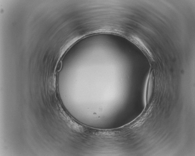 X0000060780900200511241816