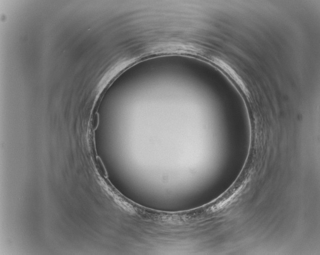 X0000060780901200511241816