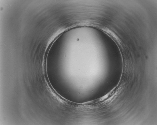 X0000060780902200511241816