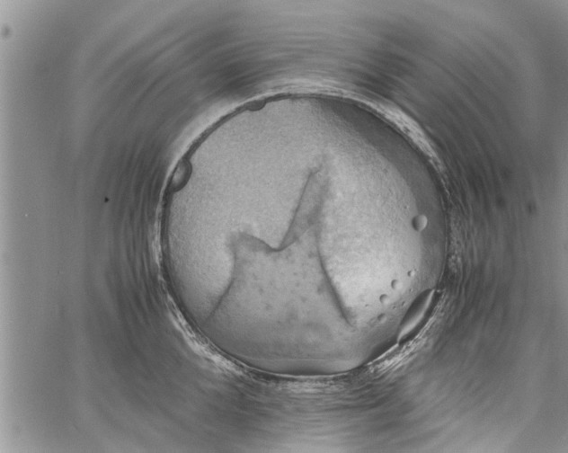 X0000060780904200511241816