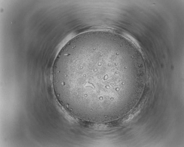 X0000060780907200511241816