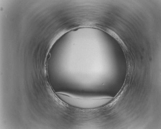 X0000060780908200511241816