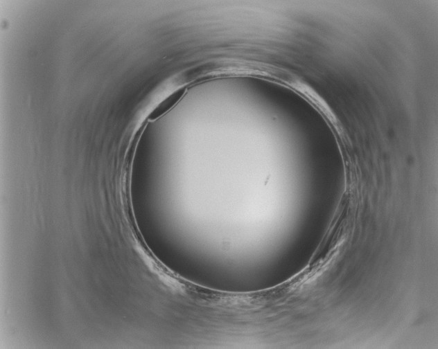 X0000060780909200511241816