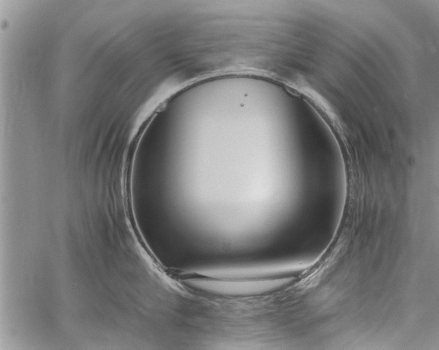 X0000060780910200511241816