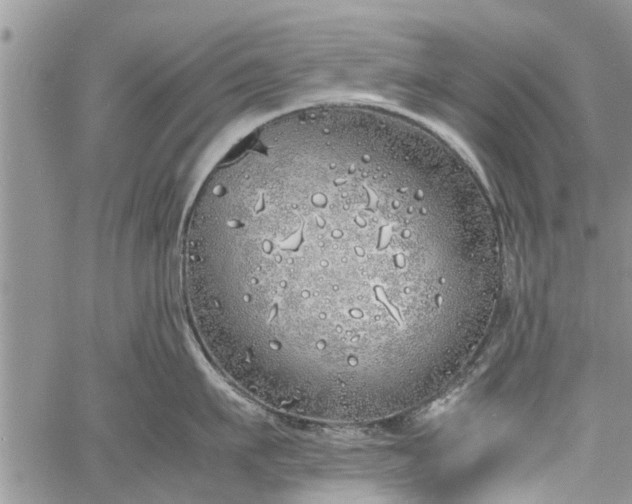 X0000060780911200511241816