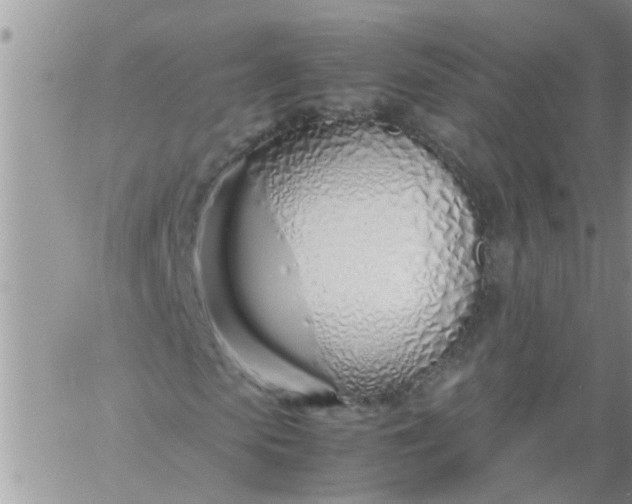 X0000060780913200511241815