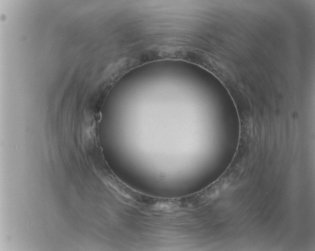 X0000060780914200511241815