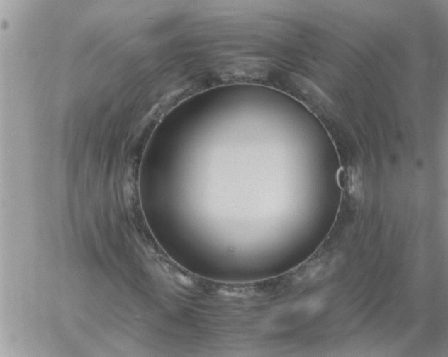 X0000060780915200511241815