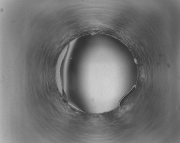 X0000060780916200511241815