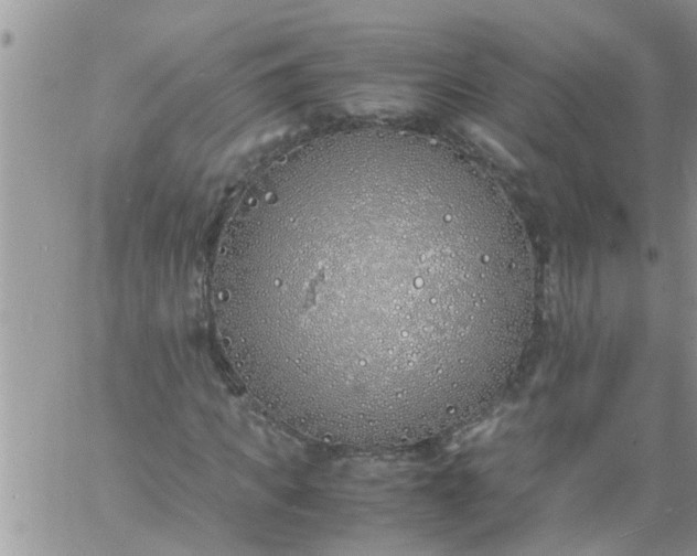 X0000060780917200511241815