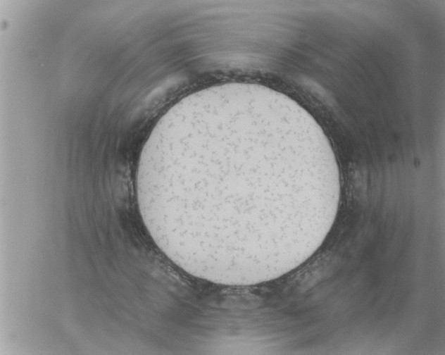 X0000060780918200511241815