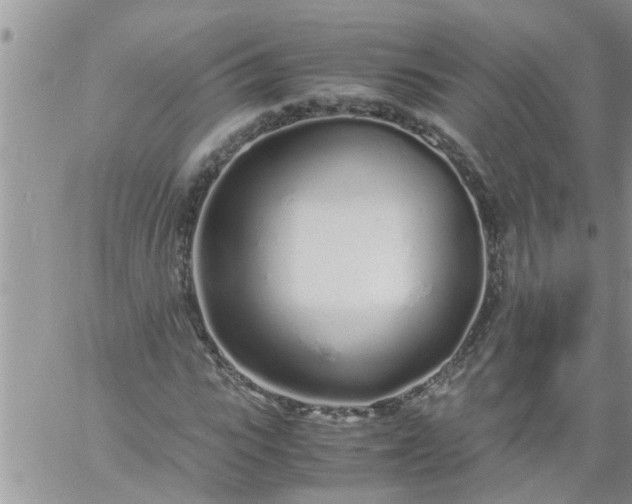 X0000060780919200511241815