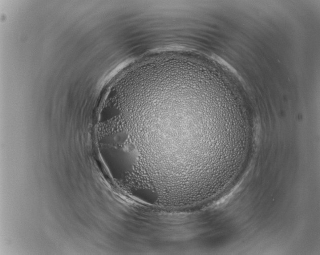 X0000060780921200511241815