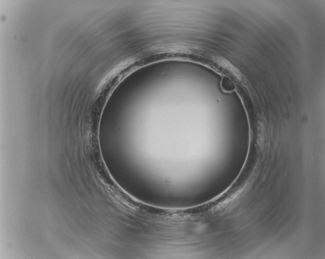 X0000060780922200511241815