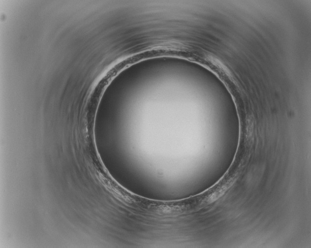 X0000060780923200511241815