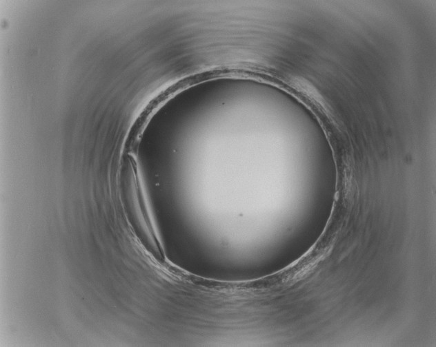 X0000060780924200511241815