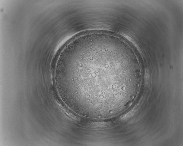 X0000060780925200511241815