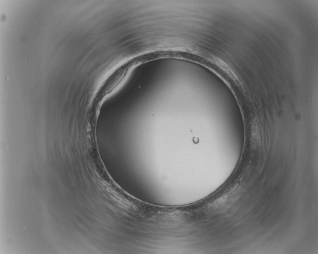 X0000060780926200511241816