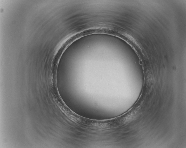 X0000060780927200511241816