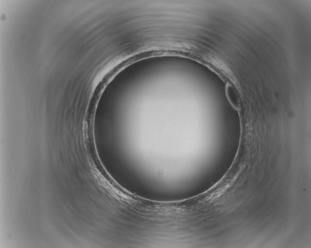 X0000060780928200511241816