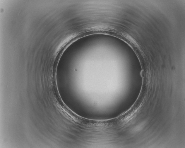 X0000060780930200511241816