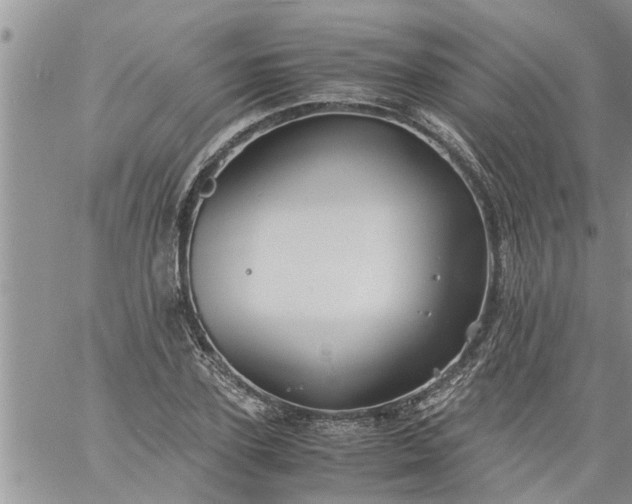 X0000060780931200511241816