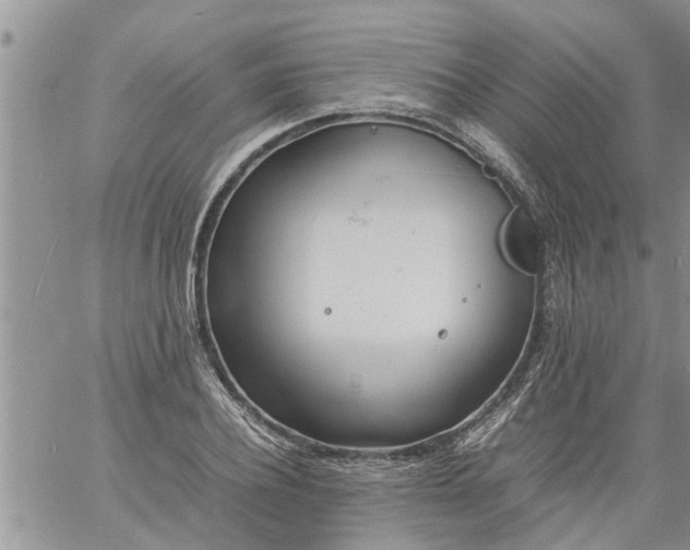 X0000060780932200511241816