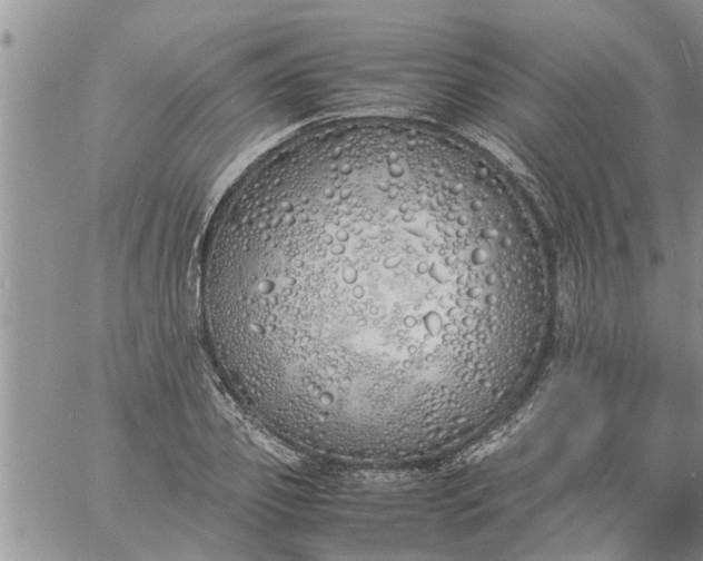 X0000060780933200511241816