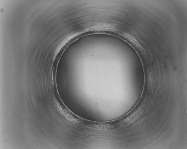 X0000060780934200511241816