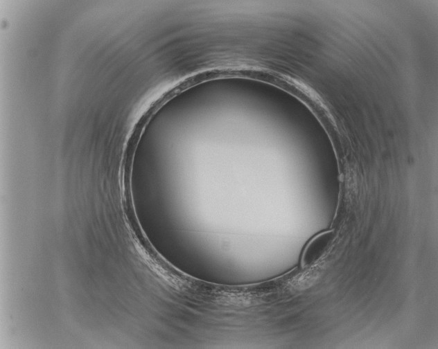 X0000060780935200511241816