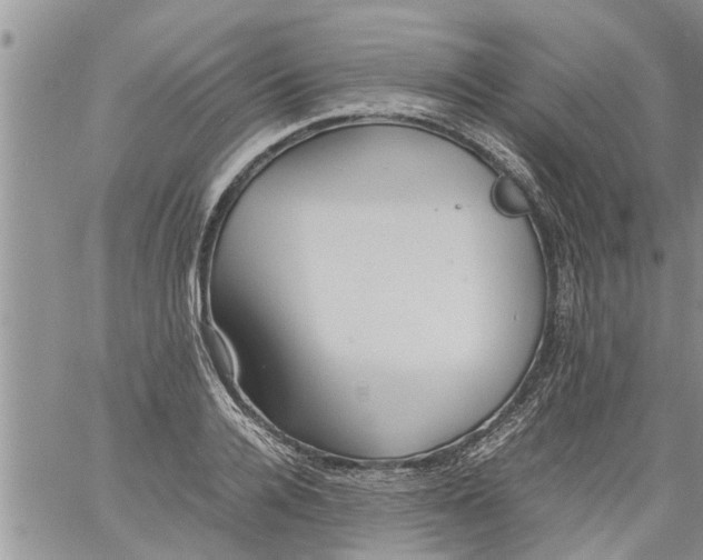 X0000060780936200511241816