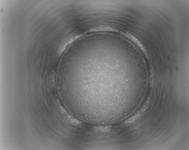 X0000060780937200511241816